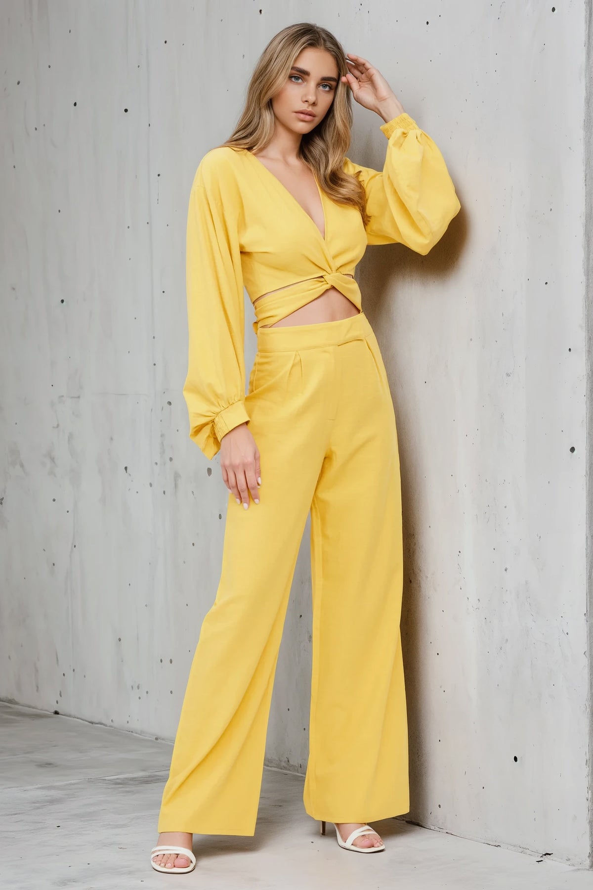 Balloon Sleeve Top & Pleated Detail Pant Set