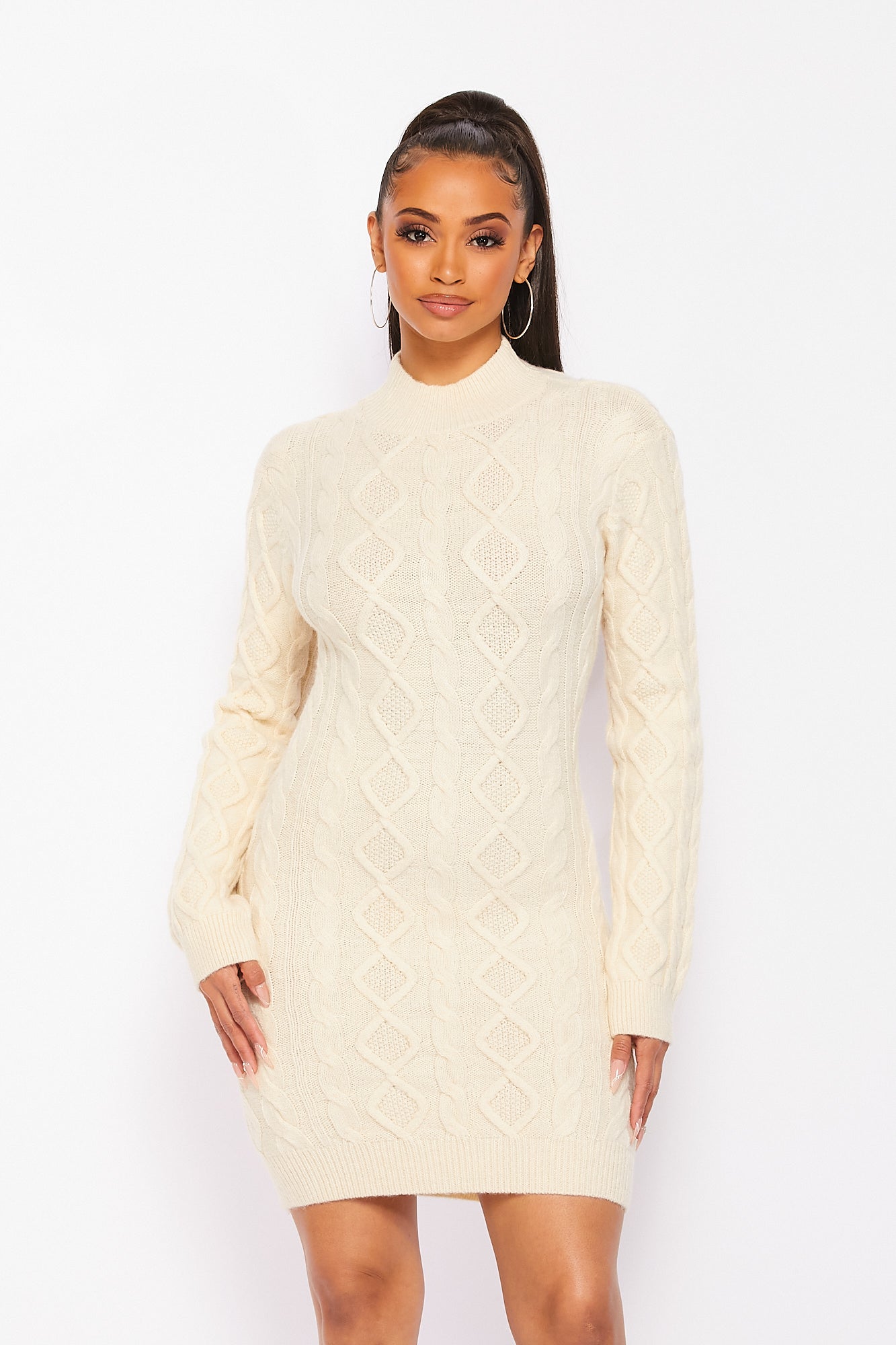 Turtle Neck Mini Dress