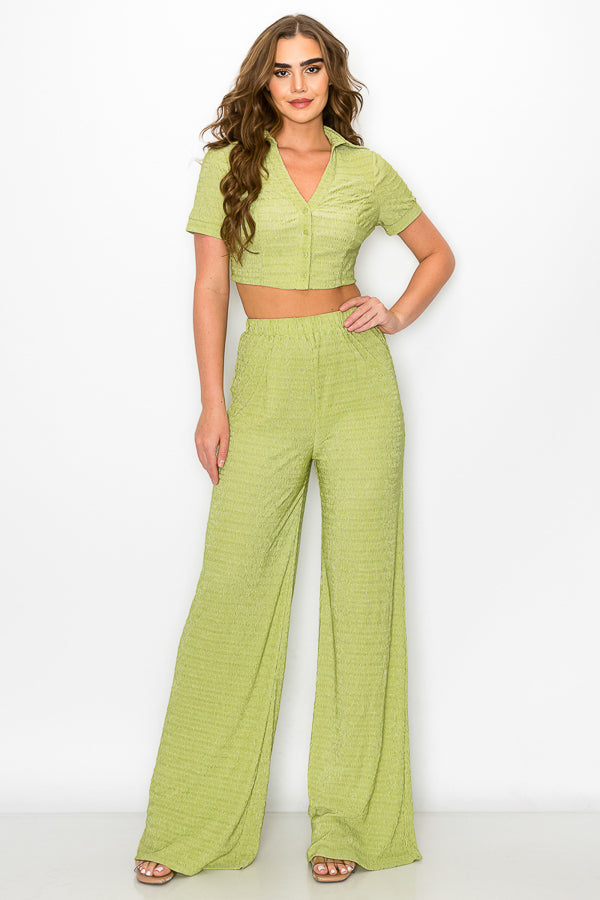 Short Sleeve Button Down Top with Pants Set