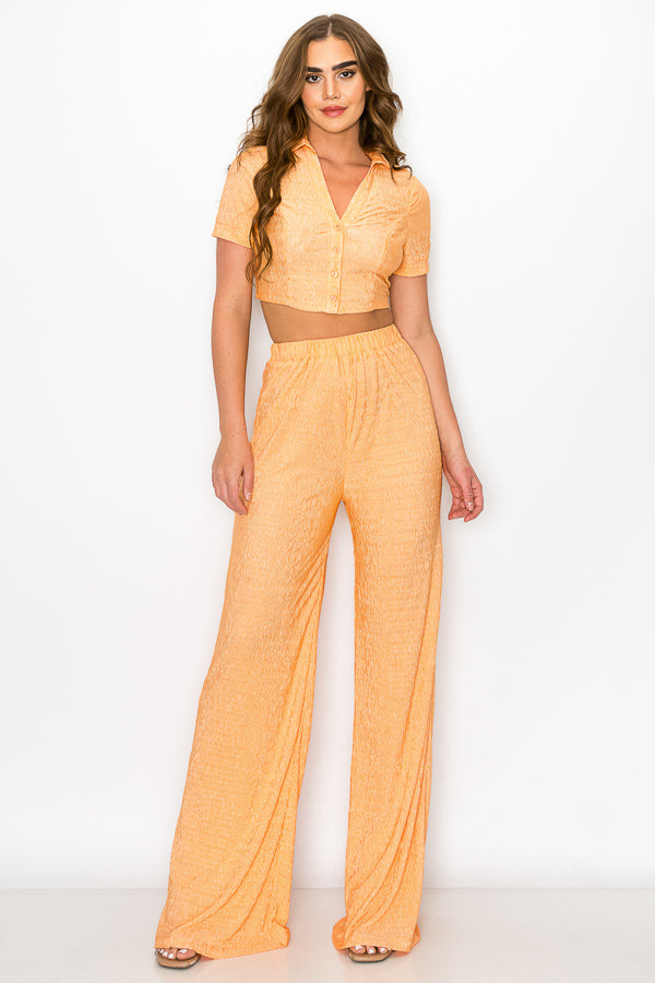 Short Sleeve Button Down Top with Pants Set
