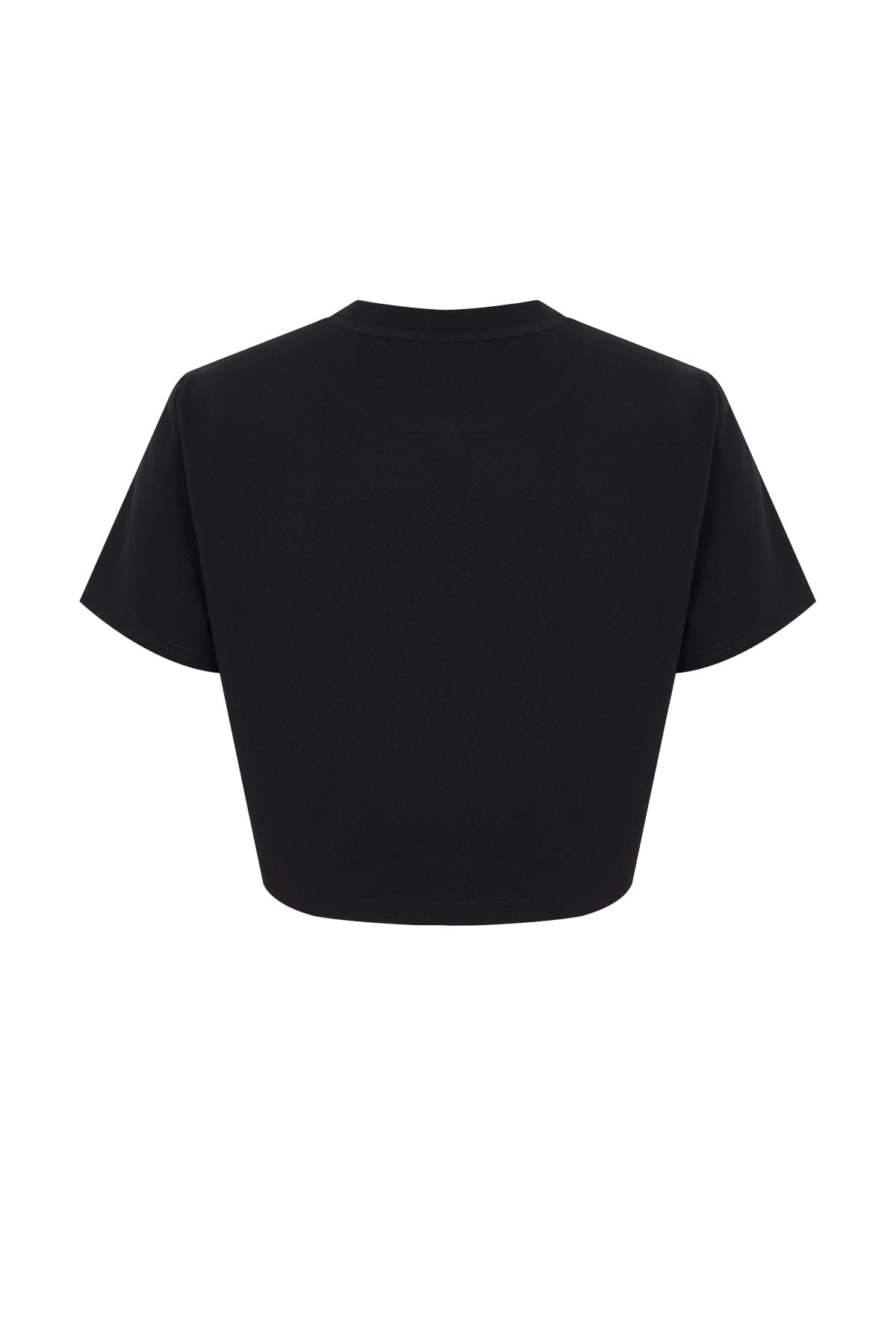 Harper Knit Short Sleeve Crop Top With Embellished Hem
