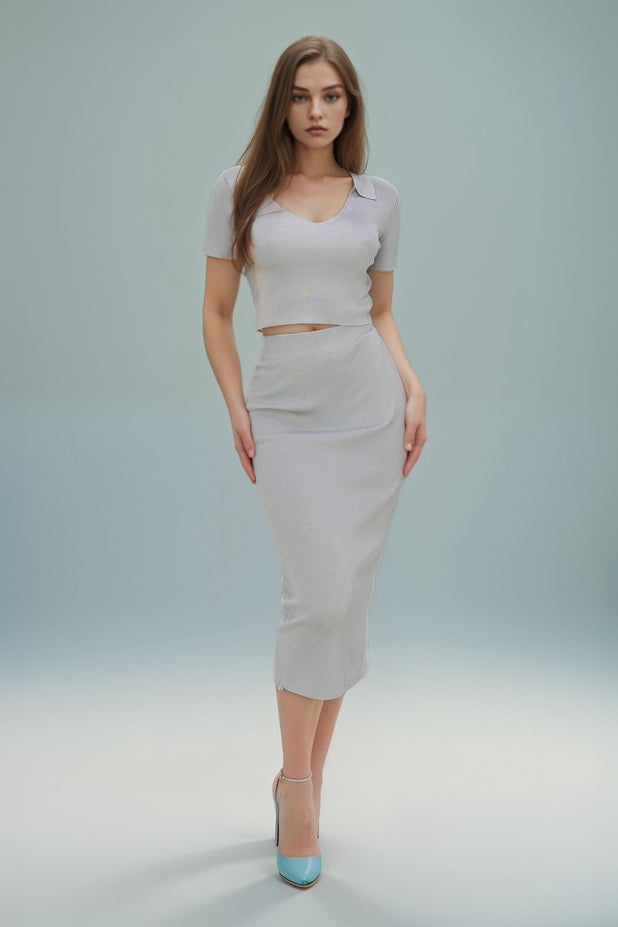 Solid Crop Top and Skirt Set