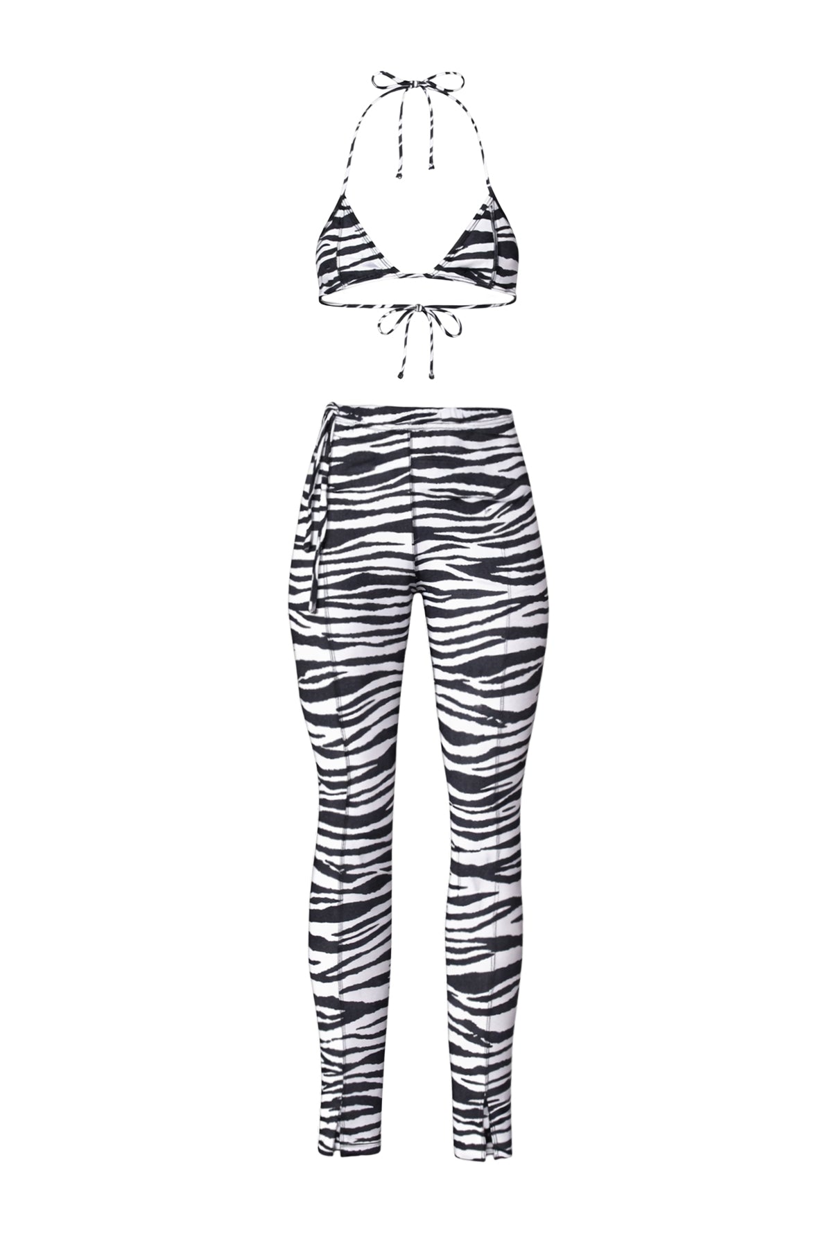 Zebra Print Design Set