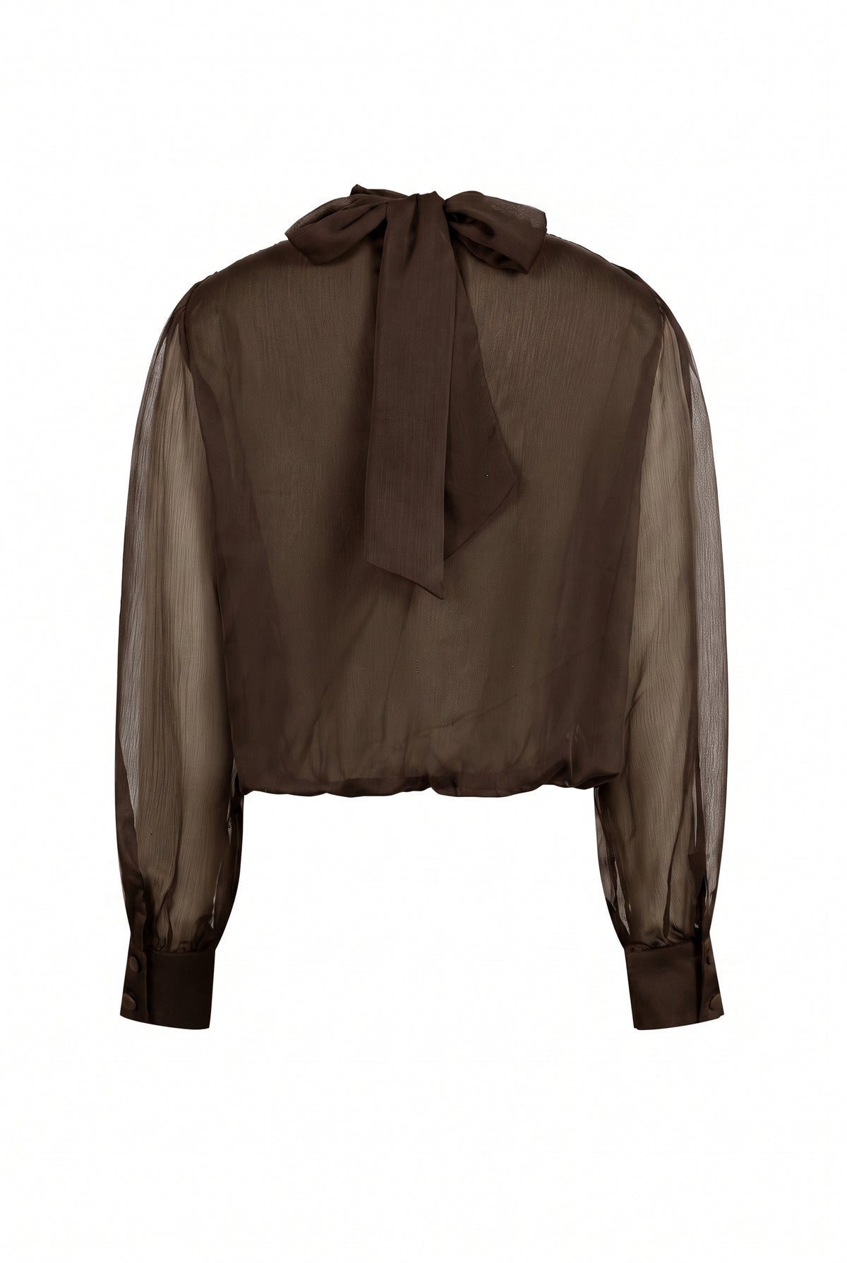 Semi Sheer Drapey Crossover Long Sleeve Blouse
