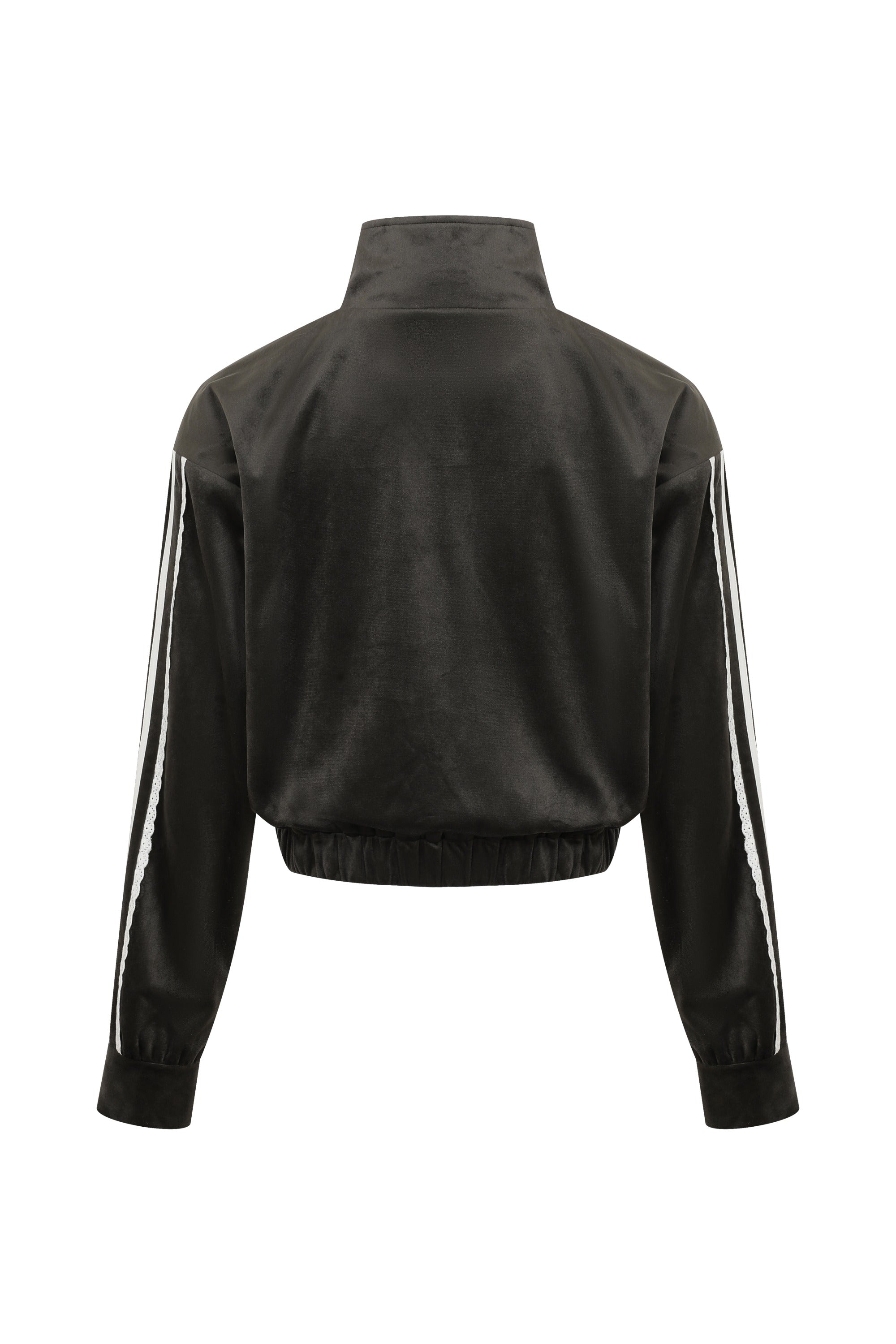 Velvet Vignette Lace Jacket With Side Stripes
