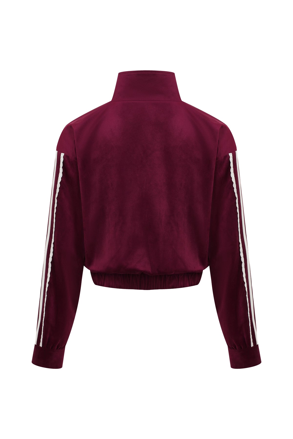 Velvet Vignette Lace Jacket With Side Stripes