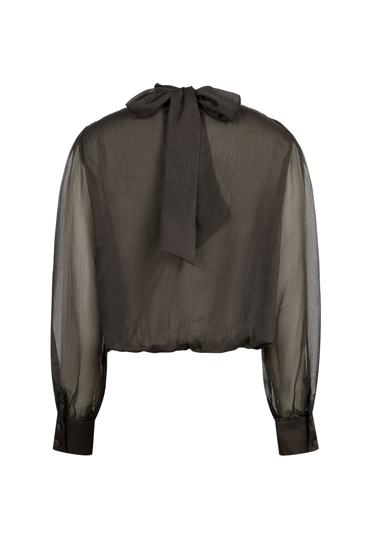 Semi Sheer Drapey Crossover Long Sleeve Blouse