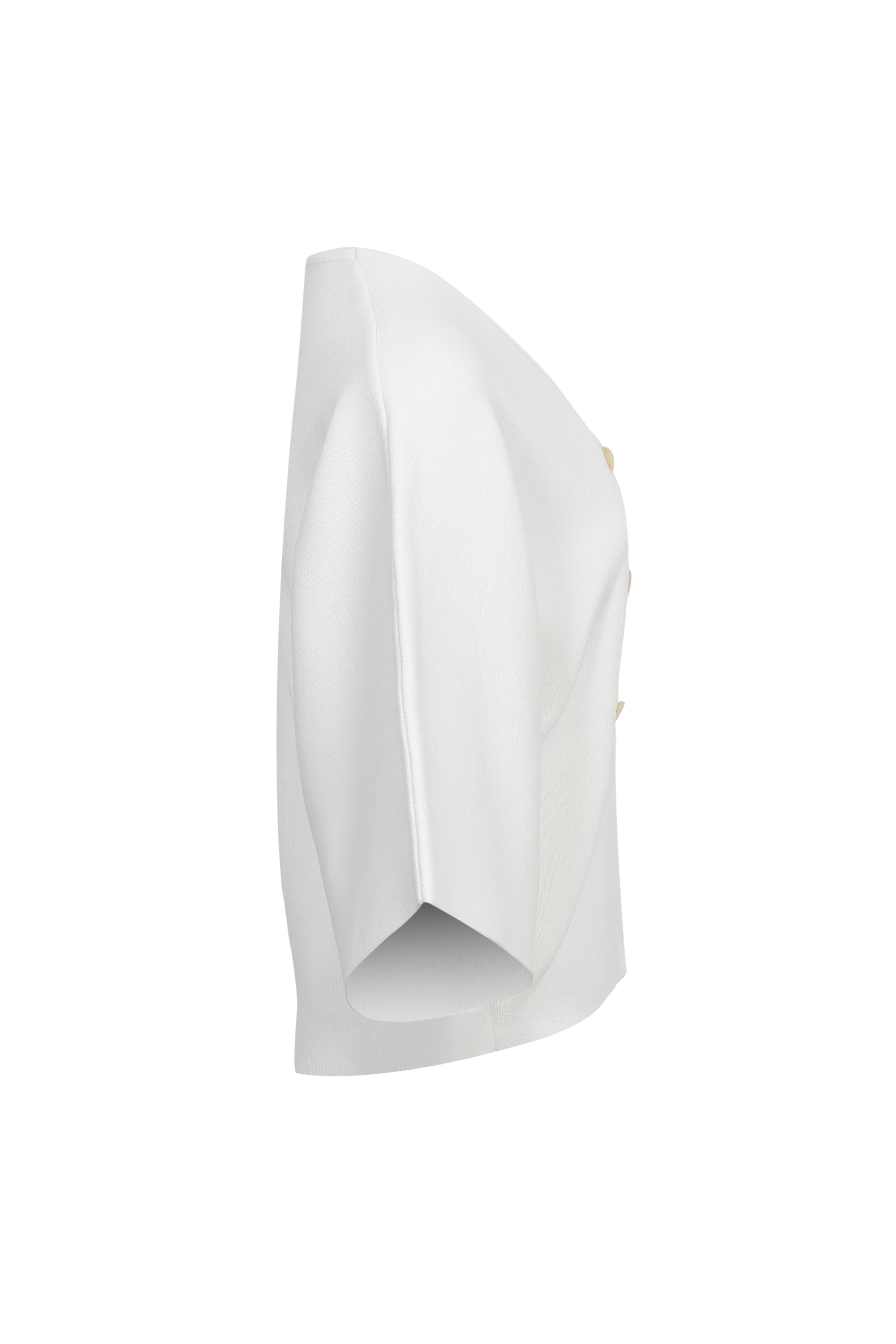 Sculpted Dolman Knit Top