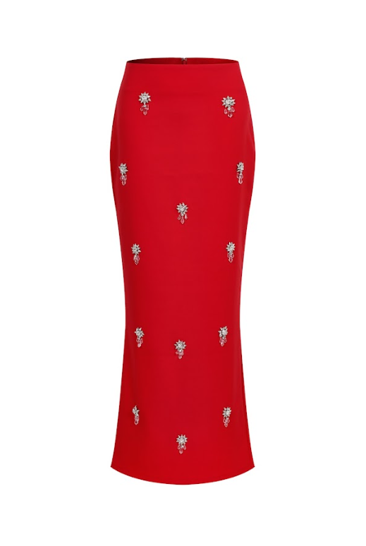 Embellished Long Skirt