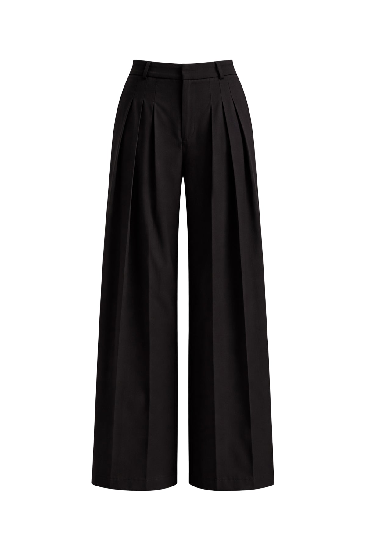 The Woven Pleat Elegant Pants