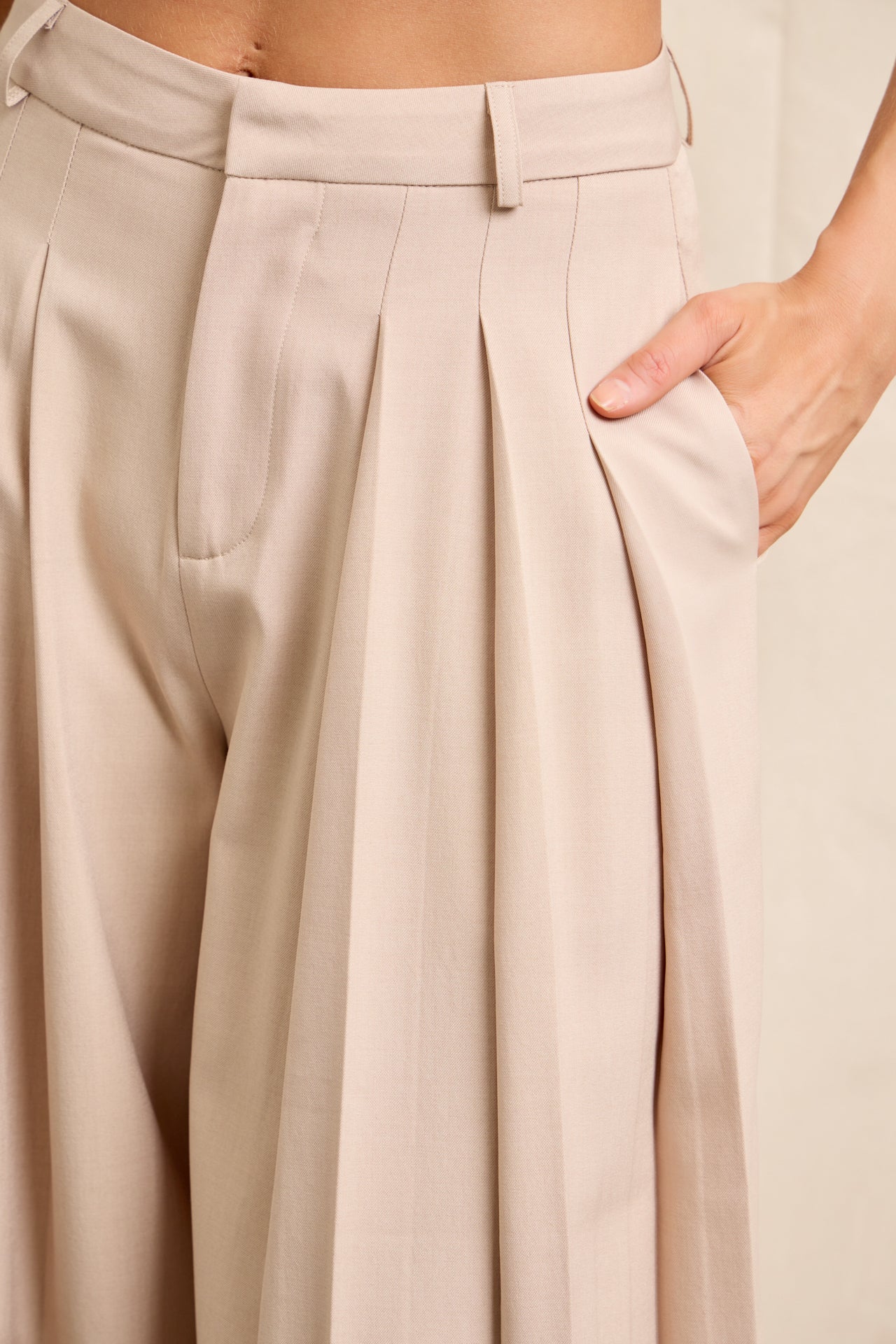 The Woven Pleat Elegant Pants