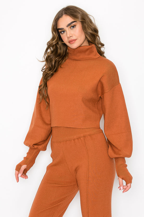 Turtle Neck Knit Top & Bottom Set