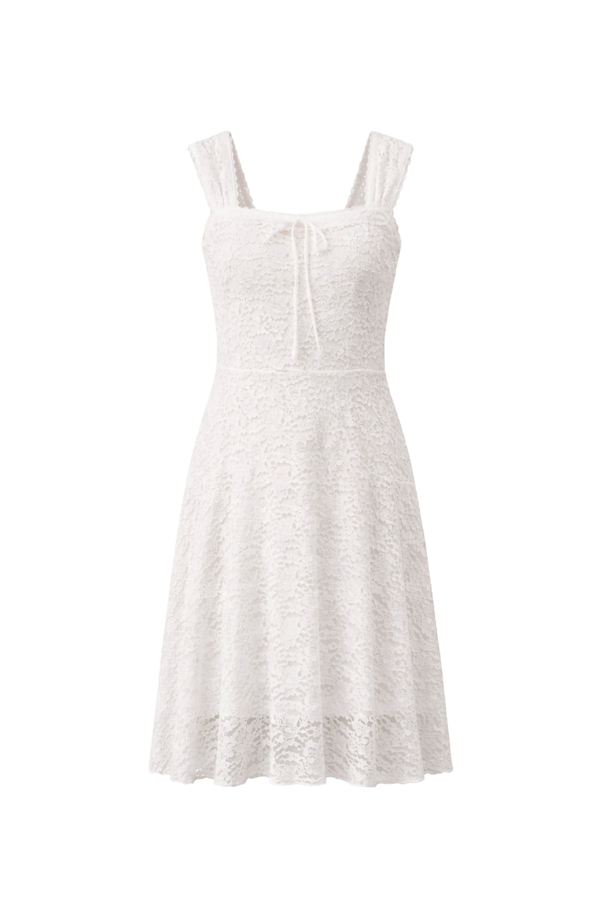 Angelique Fit and Flare Lace Dress