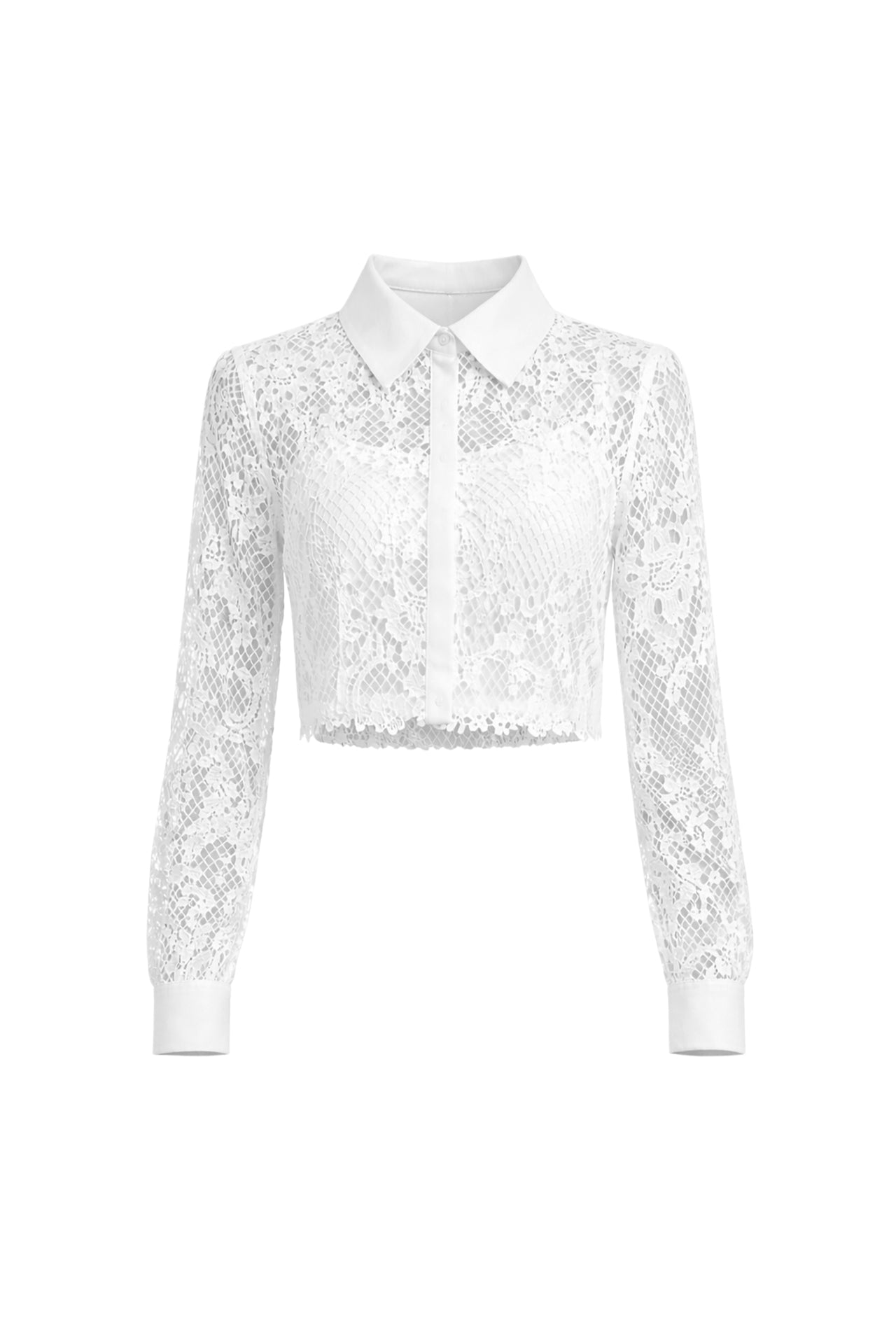 Lace Shirt With Embellished Collar