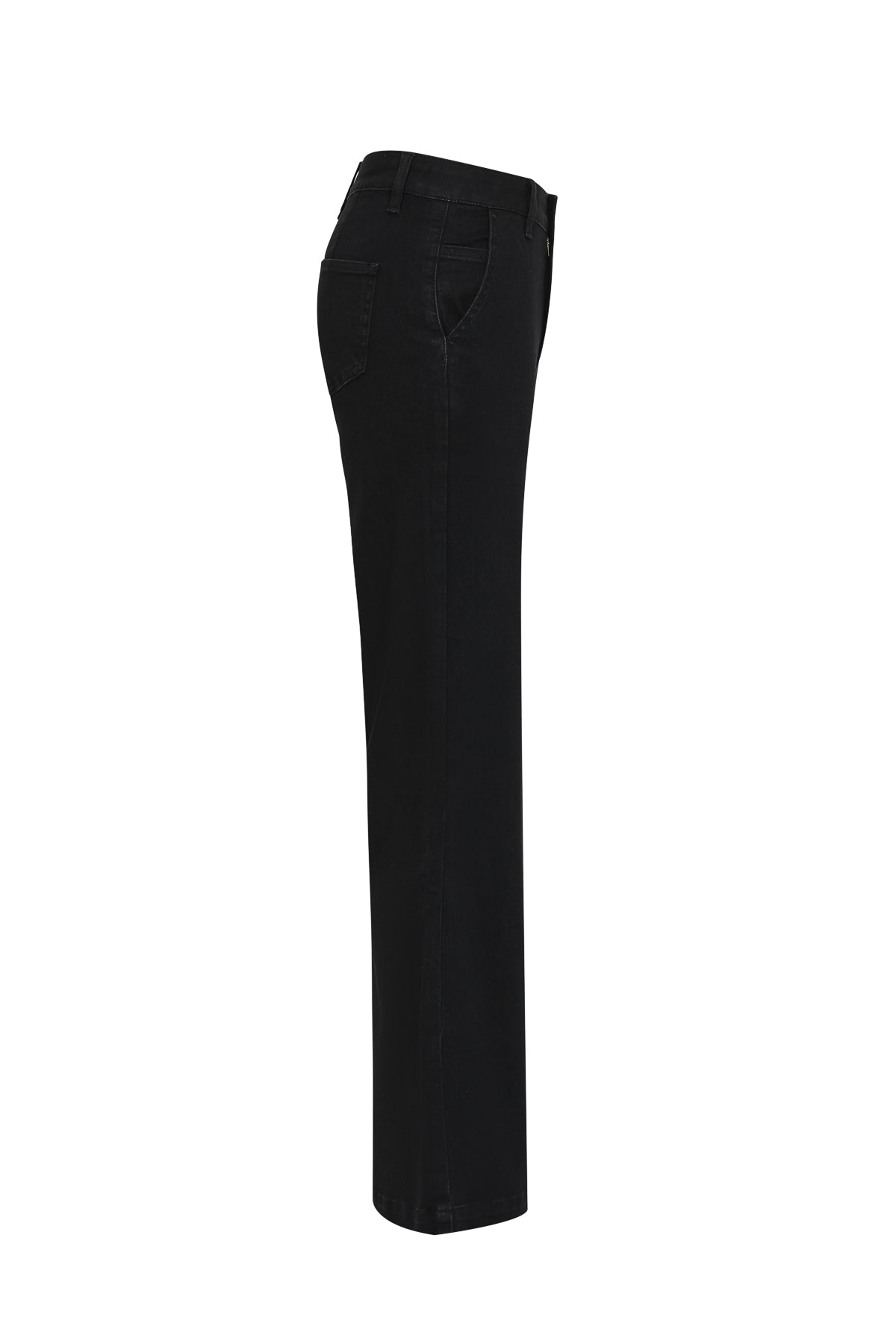 Nyla Wide Leg Flare Denim Pant