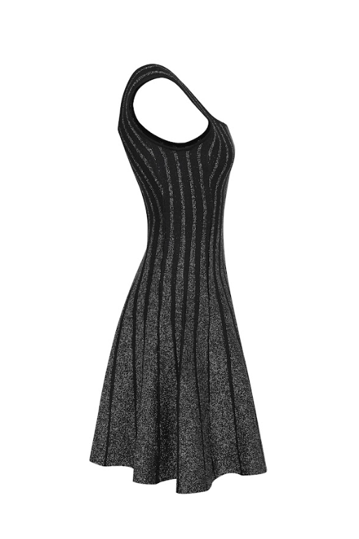 Sparkle Fit and Flare Dress