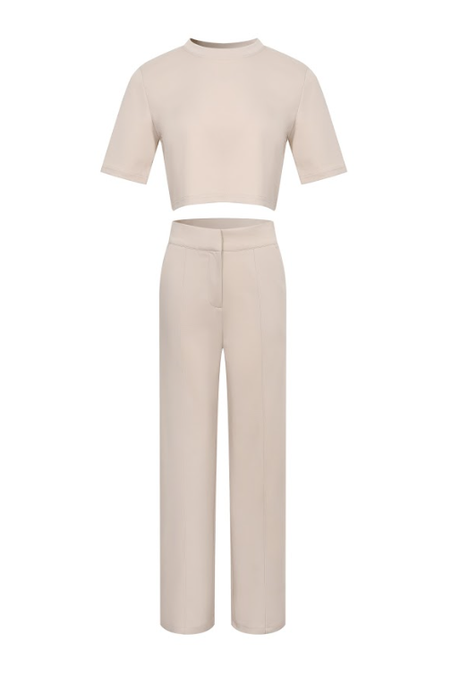 Casual Day Crop Top and High Waist Pants Set