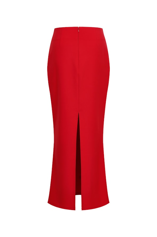 Embellished Long Skirt